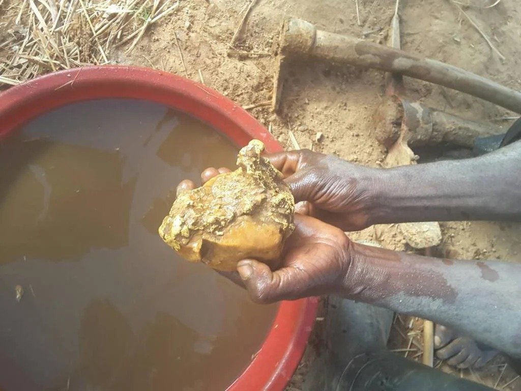 Imgi 195 IMG 20210709 WA0011