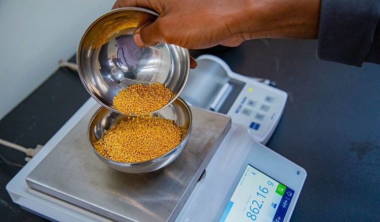 Imgi 274 rwanda gold refinery