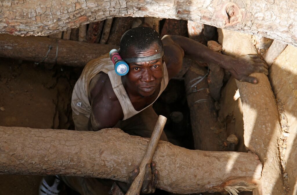 Imgi 5 HFS.GGG.SREP556