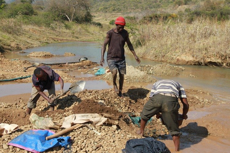 Imgi 6 3107 2 1 GOLD PANNERS